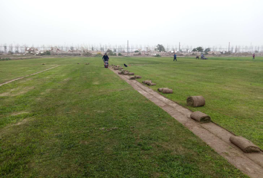 草坪基地1.png 草坪基地1.png